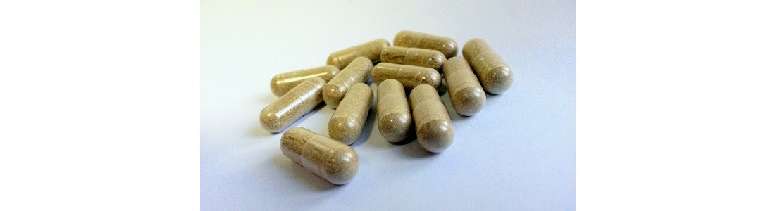 Probiotics Step to the Fore as Fat Burners