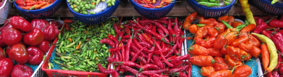 Chilli pepper found to aid satiety