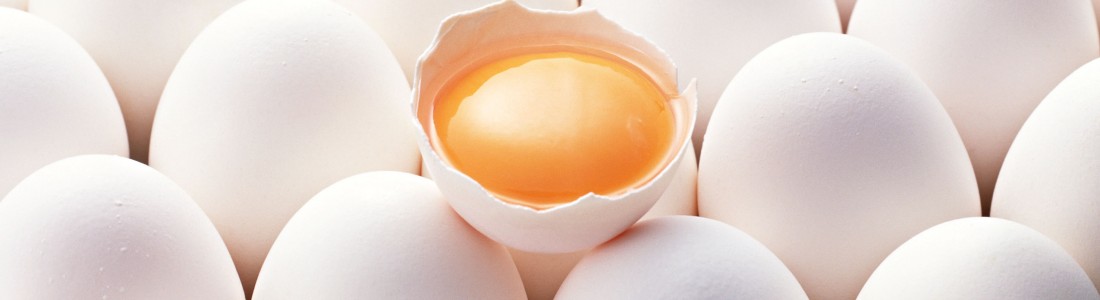 Penford expands egg replacement portfolio