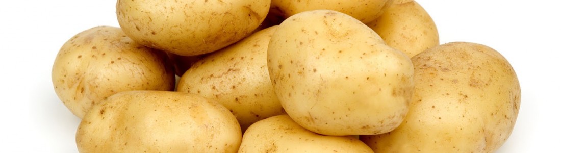 Avebe launches new potato starch
