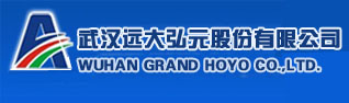 Wuhan Grand Hoyo Co., Ltd.