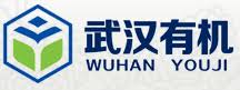 Wuhan Youji Industries Co LTD
